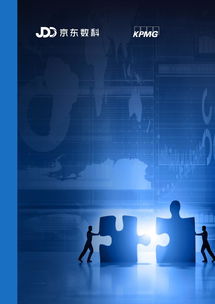 技术驱动变革 毕马威与京东数字科技联合报告揭示数字技术服务金融新范式